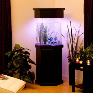 Acrylic Hexagonal Stand